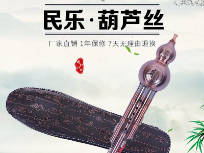 中小學(xué)音樂(lè)儀器